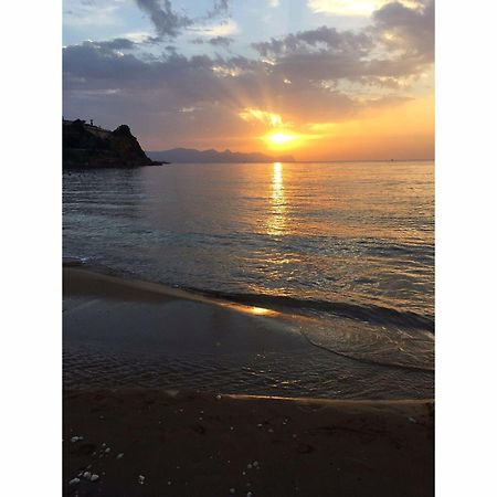 Le Palme Vacanze ترابيتو المظهر الخارجي الصورة