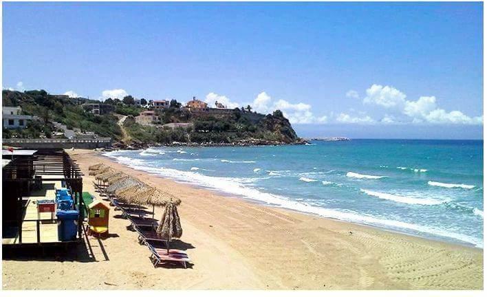 Le Palme Vacanze ترابيتو المظهر الخارجي الصورة